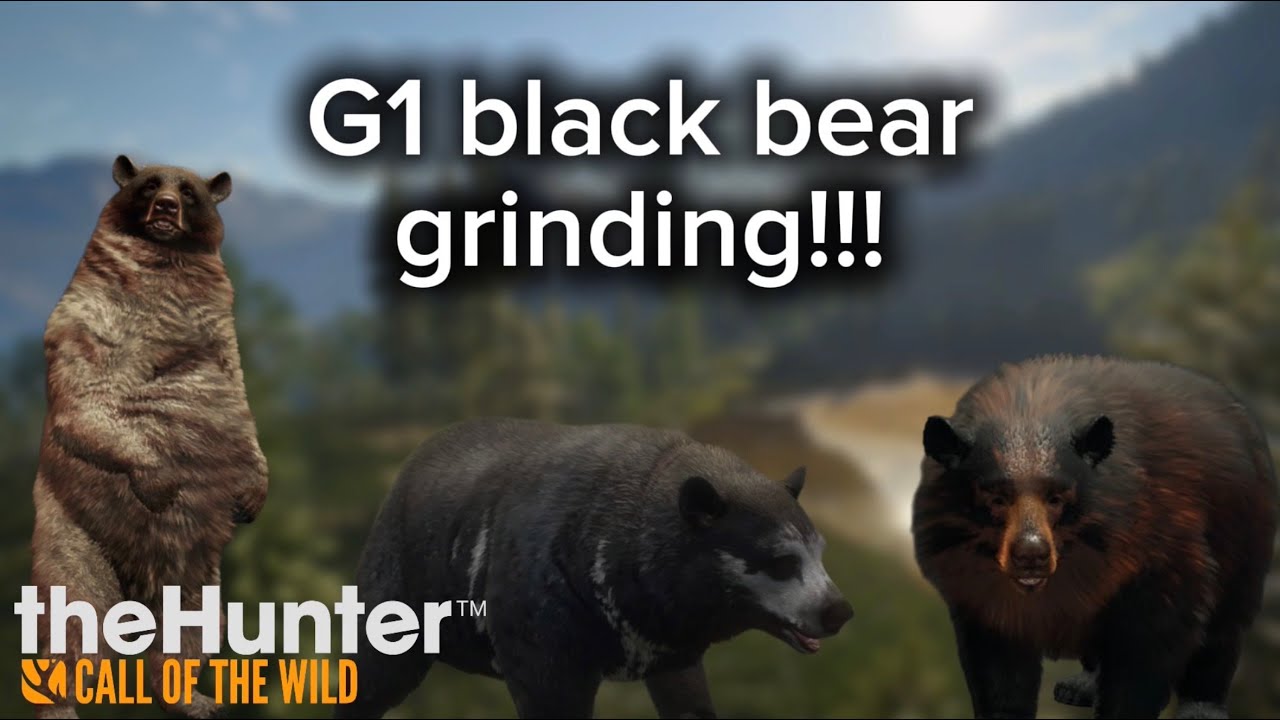 G1 black bear grinding!!!