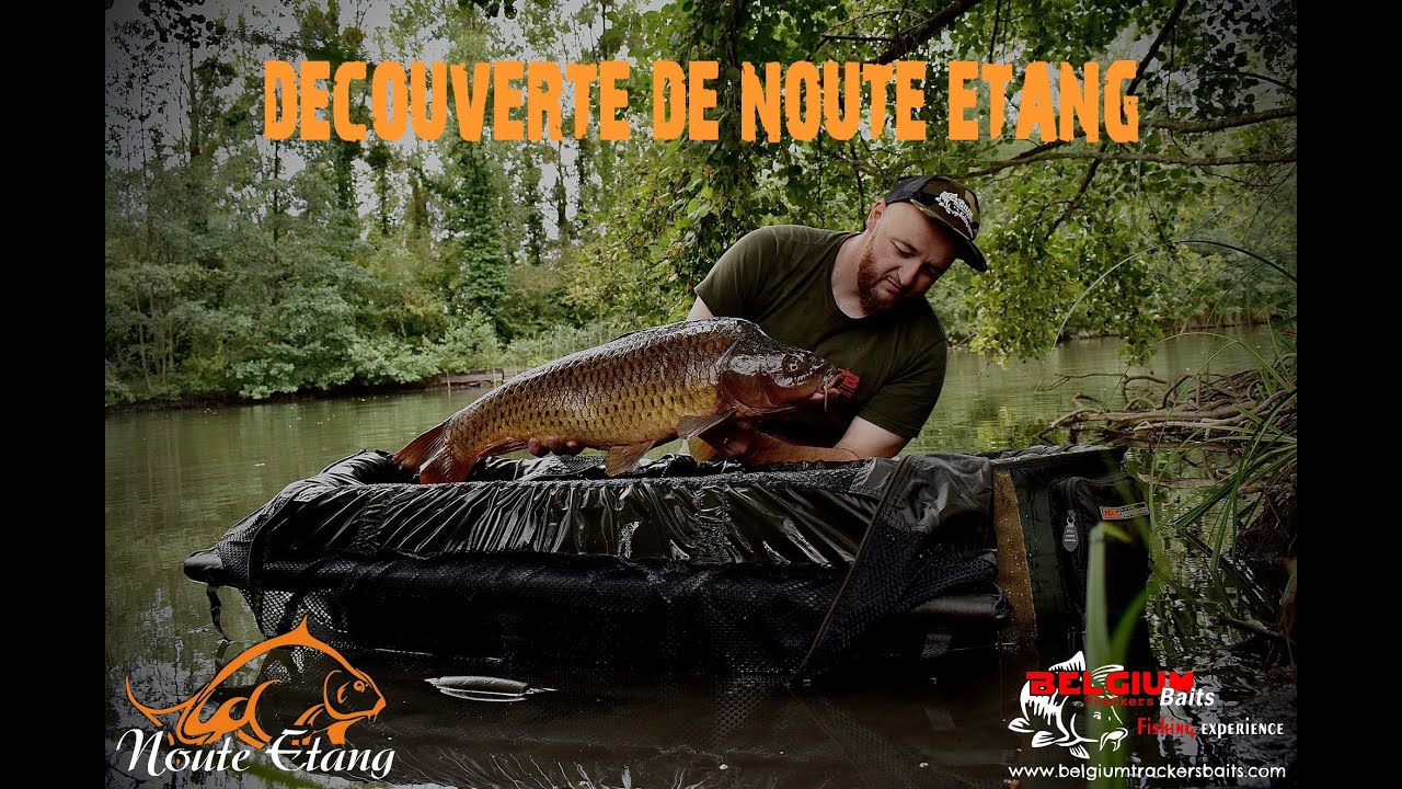 Découverte de Noute etang