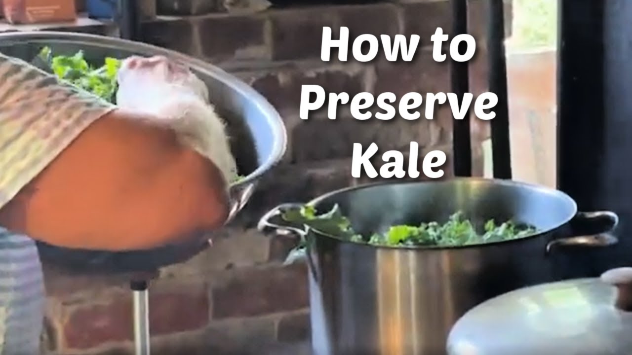 Preserving Kale