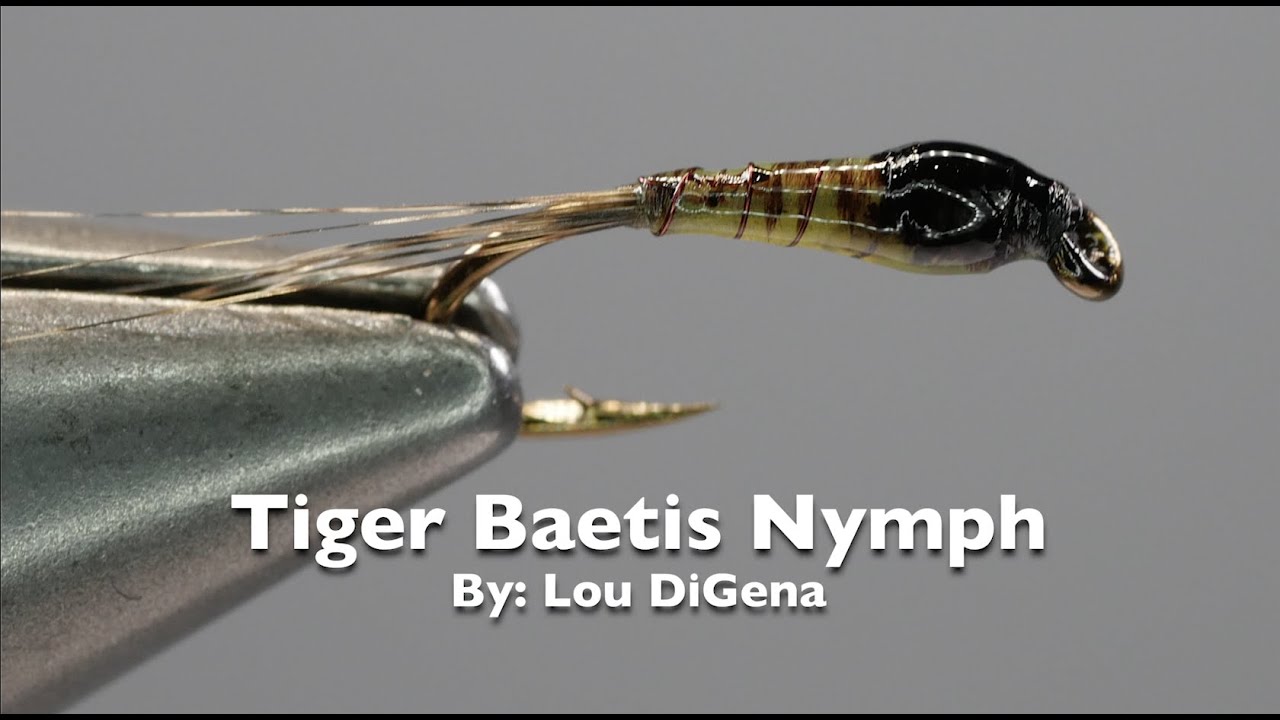 How to tie the Tiger Baetis Nymph with Lou DiGena
