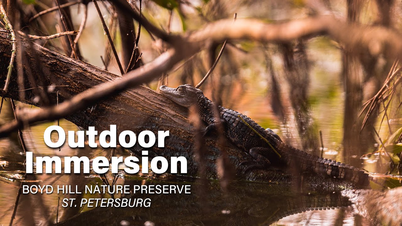 Nature Is Calling at Boyd Hill Nature Preserve!