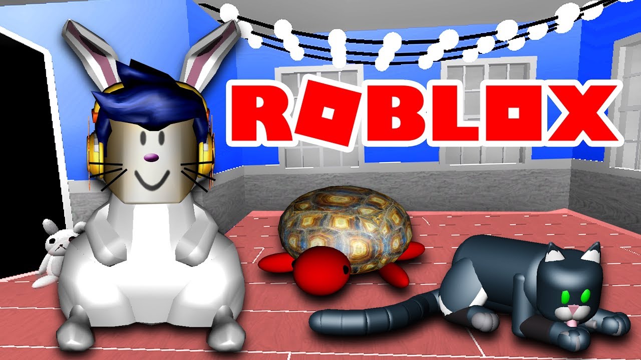 Эволюция КОТА в ЧЕРЕПАХУ в ROBLOX | Новые приключения и ТАЙНАЯ ЖИЗНЬ домашних животных | Жестянка
