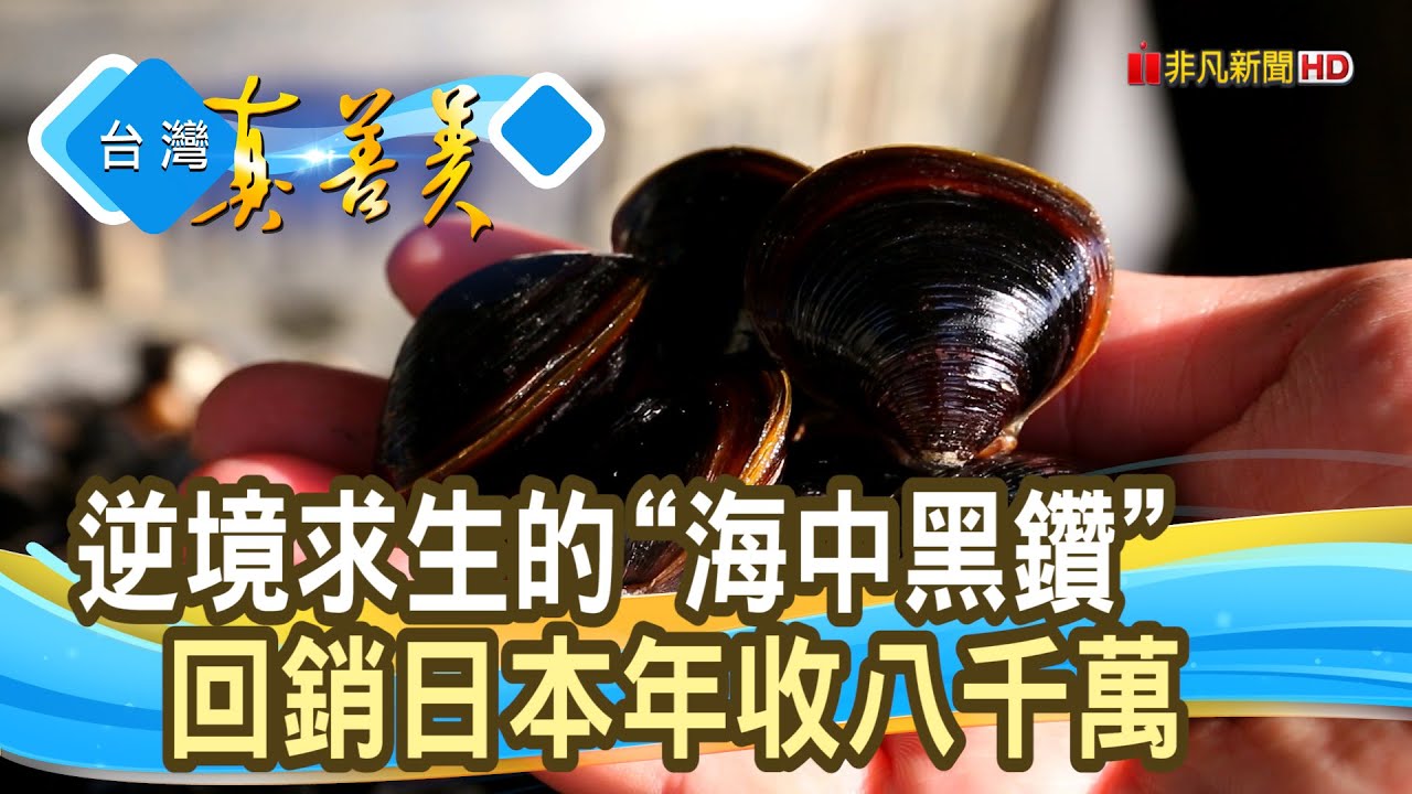 回銷日本的&ldquo;蜆中之王＂｜通利水產行｜【台灣真善美】2024.03.31