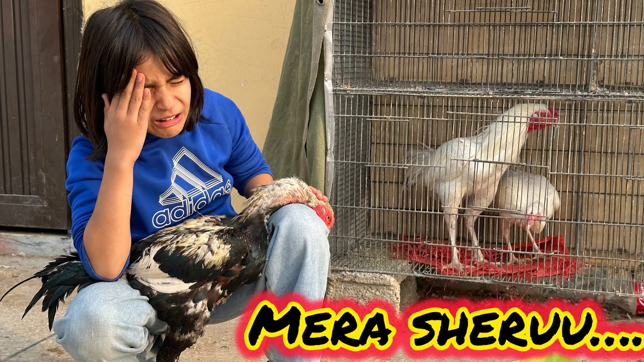 Mera Sheru Achanak Bemar hogaya 🥲 Dil Tor dene Wala Scene 