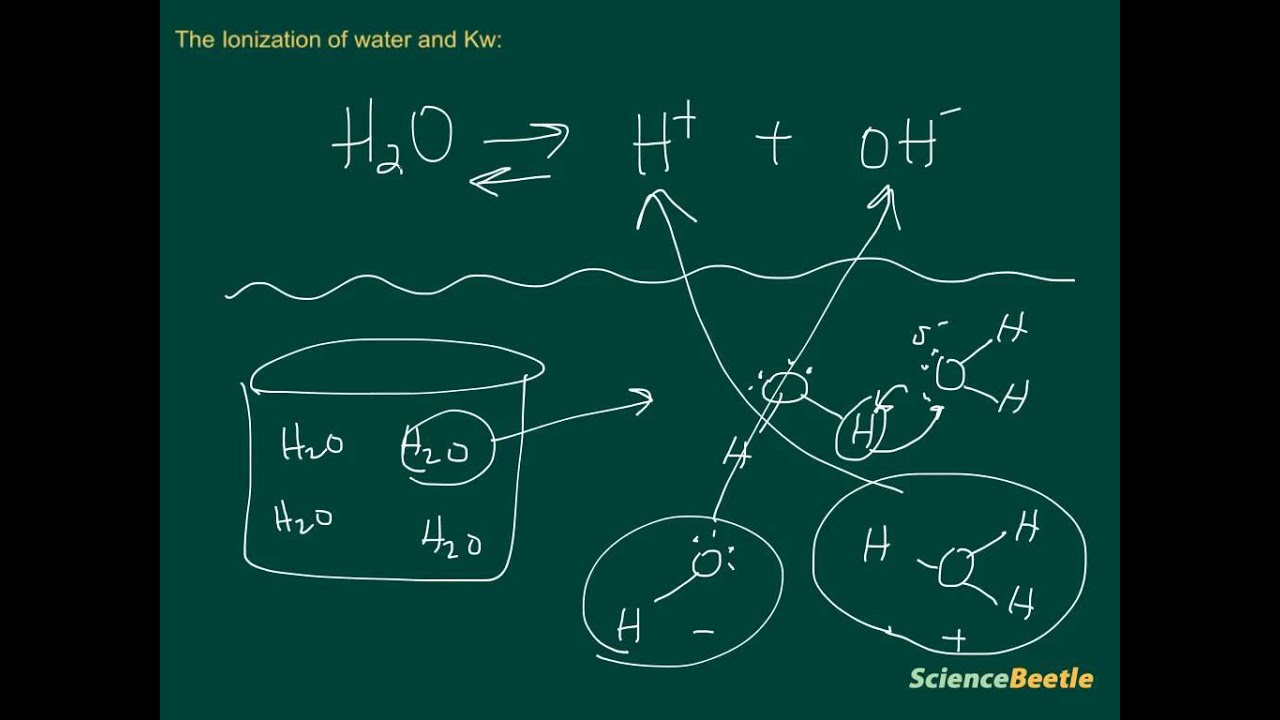 The Self-ionization of Water and Kw