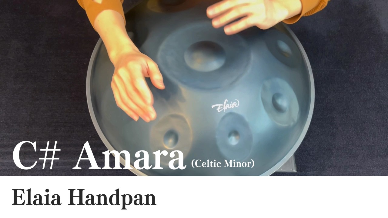 【ハンドパン販売】 Elaia Handpan / C# Amara 9 (Celtic Minor) 試奏2［管理番号146］