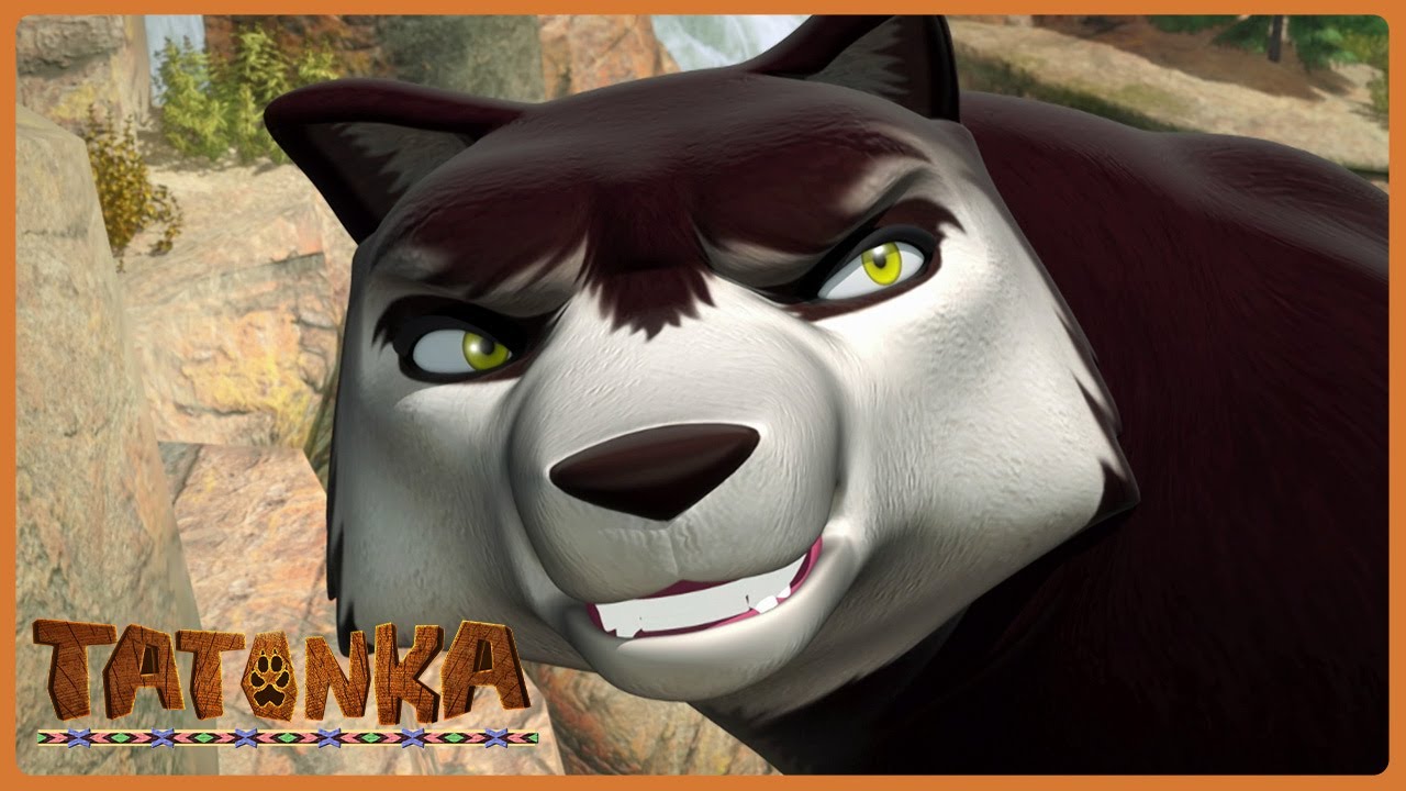 🐾 ¡Felinos vs Lobos! ¿Quién caza mejor? | Tatonka