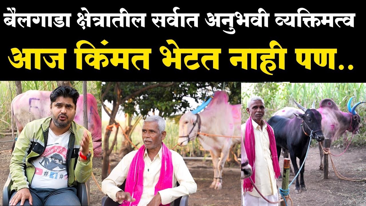 संभा (आबा ) ड्राइवर काले! sambha aaba kale