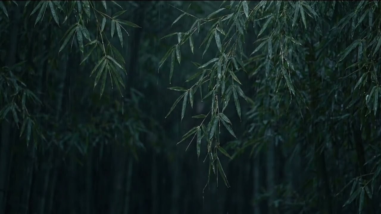 10 Hours Gentle Rain on Bamboo Leaves at Night 🌧️🎋 | Deep Sleep, No Thunder, No Music