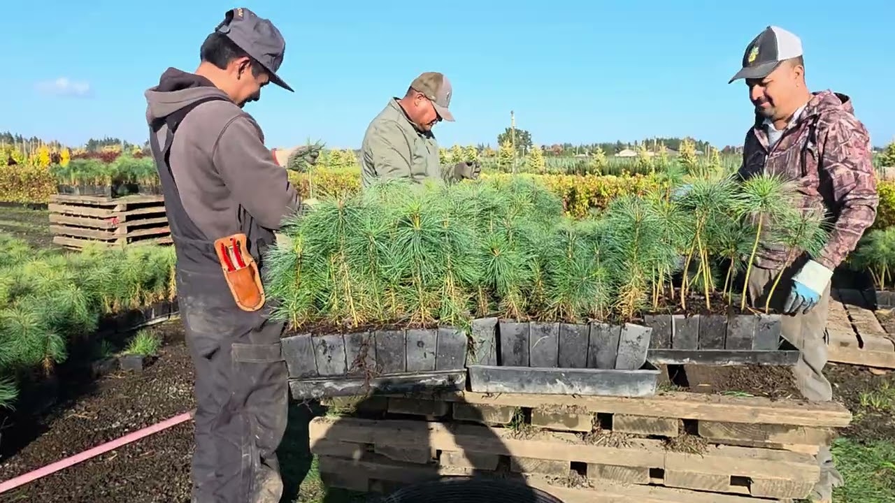 Aqui seguimos con la cuadrilla mas chingona de oregon 