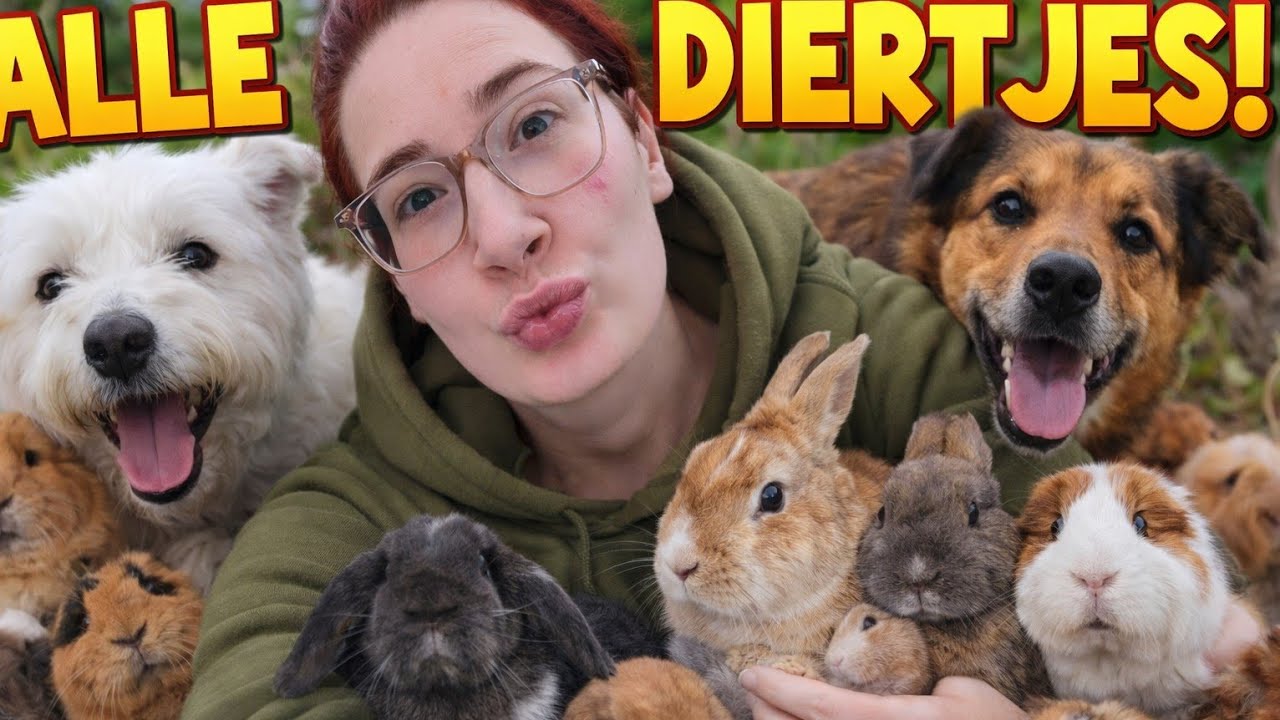 MIJN DIEREN PARADIJS 🐹🐰🐕 #1114