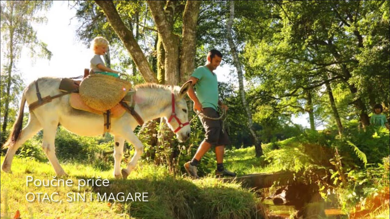 Poučne priče - Otac, sin i njihovo magare