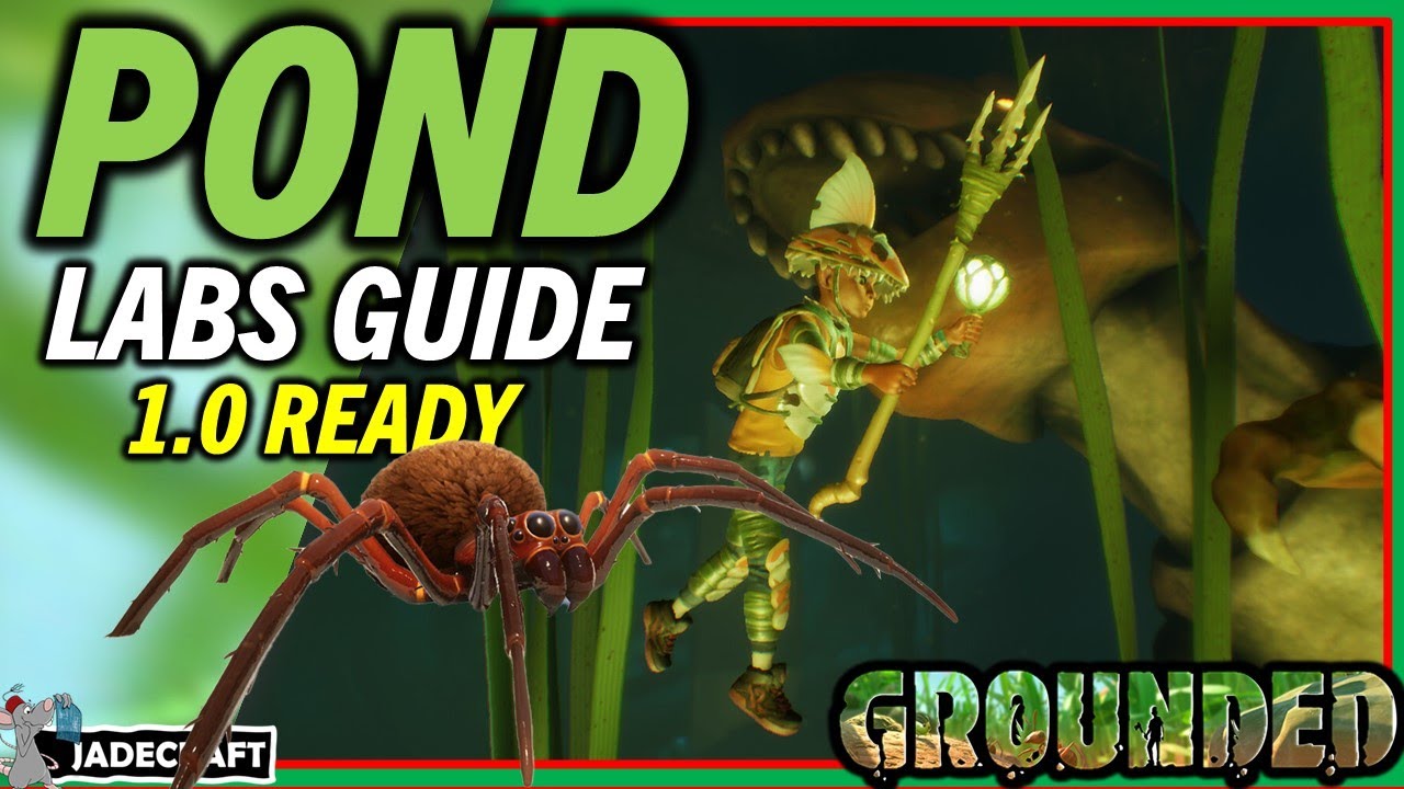 РУКОВОДСТВО ПО ЛАБОРАТОРИИ ЗАЗЕМЛЕННОГО ПРУДА Как получить два прудовых чипа