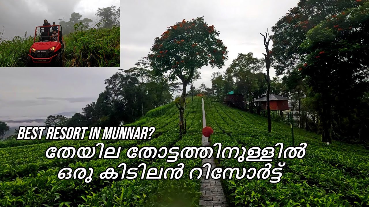 Is this the Best resort in Munnar | Best resorts in Munnar | Munnar stay