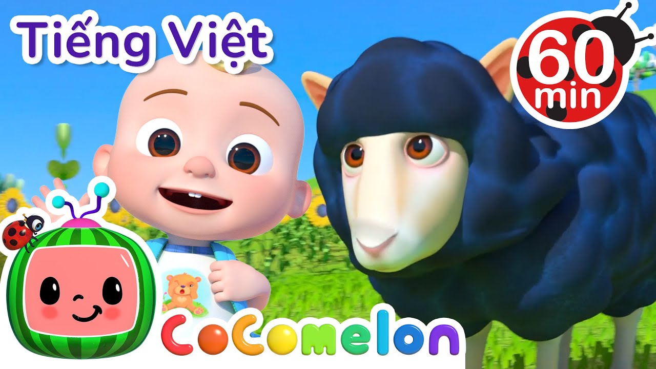 Baa Baa Cừu Đen | CoComelon Tiếng Việt | Nhạc cho Trẻ em | Bài hát Ru ngủ