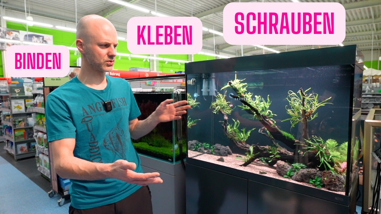 Unsere 3 TOP Einrichtungstipps! - Aquariengestaltung leicht gemacht