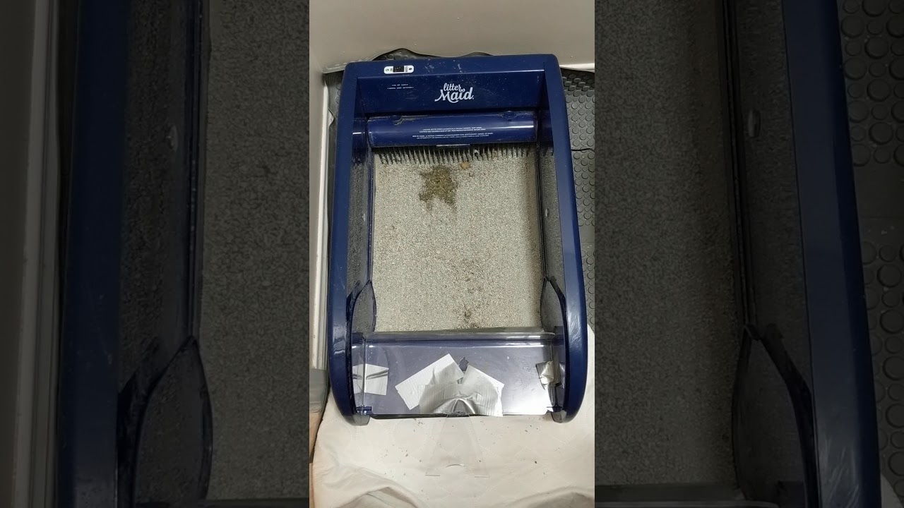 Littermaid 6 Month Update