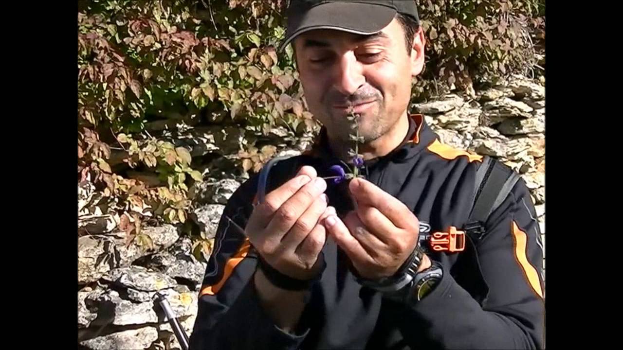 marche nordique vue par Jérôme Merchadou  (2ème Partie)