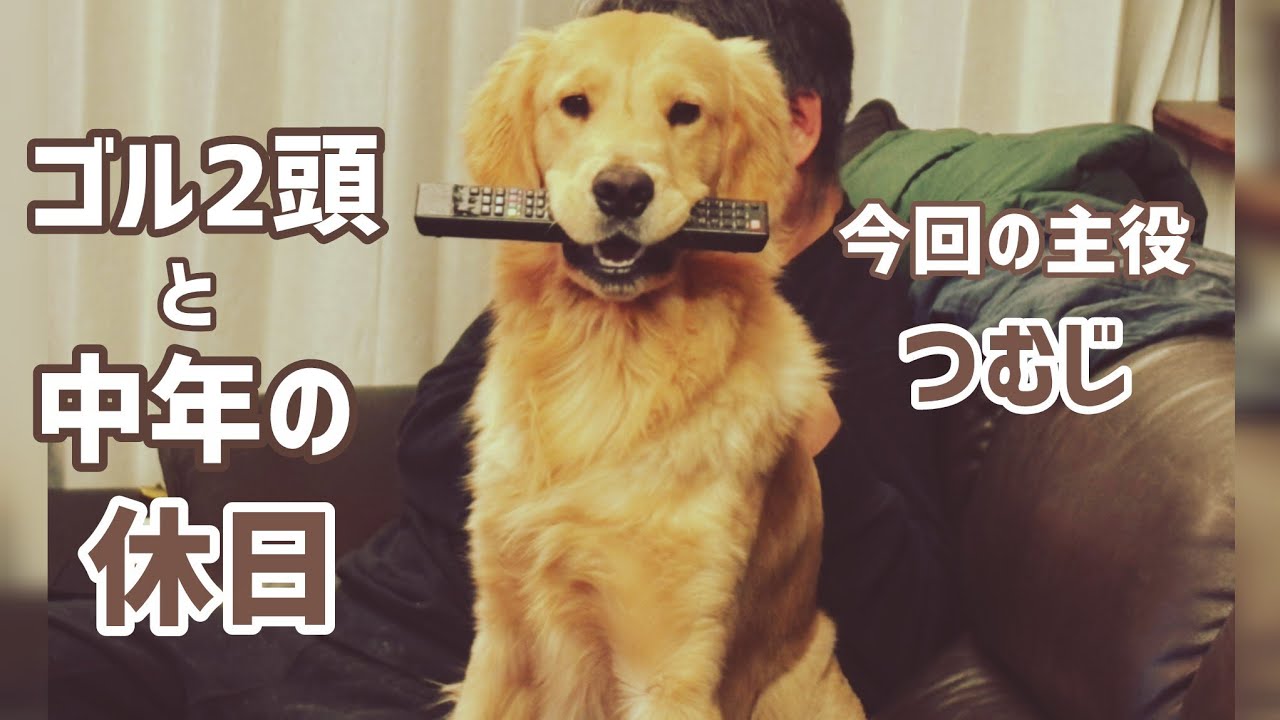 とある中年の休日