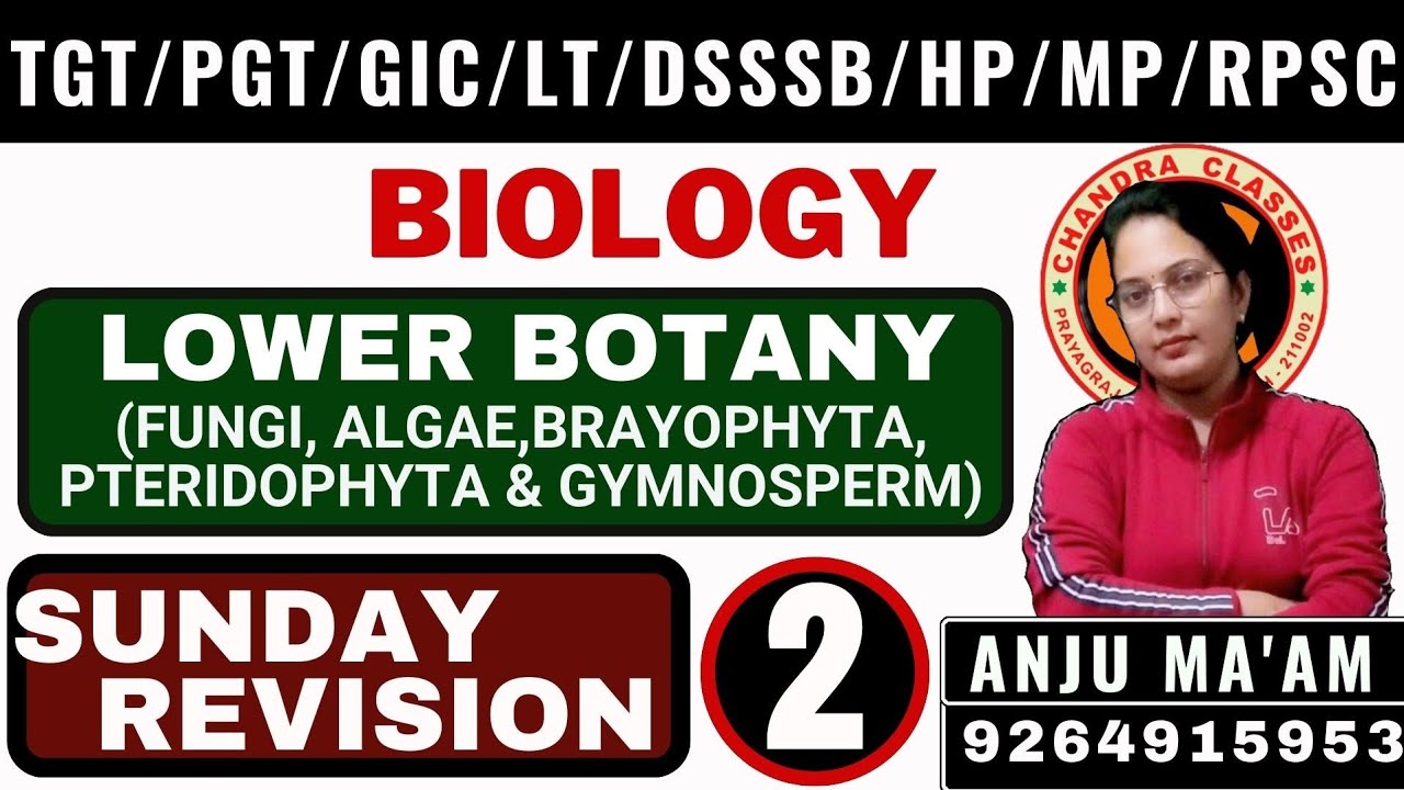 SUNDAY REVISION 2 #PRACTICE SESSION OF LOWER BOTANY#PLANT KINGDOM #TGT#PGT#LT#KVS#NVS || ANJU MAAM