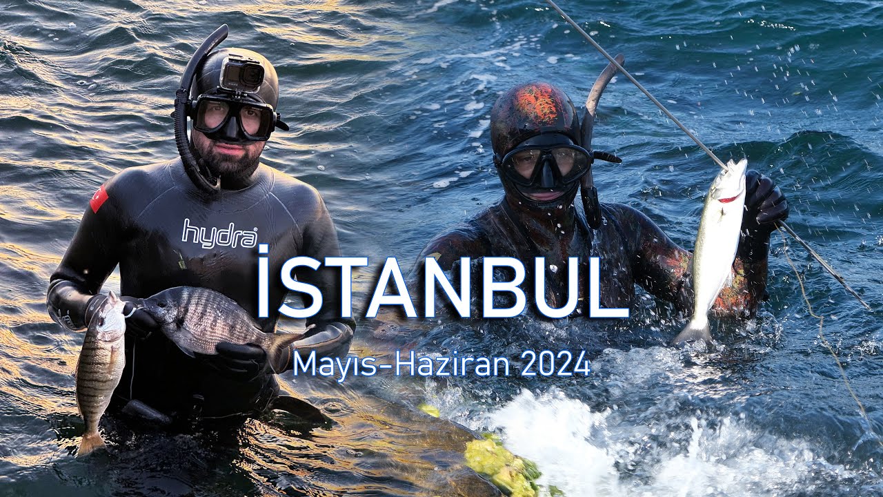 3. Dalış Deneyimi!  Mayıs Haziran 2024 İstanbul Kıyıları!