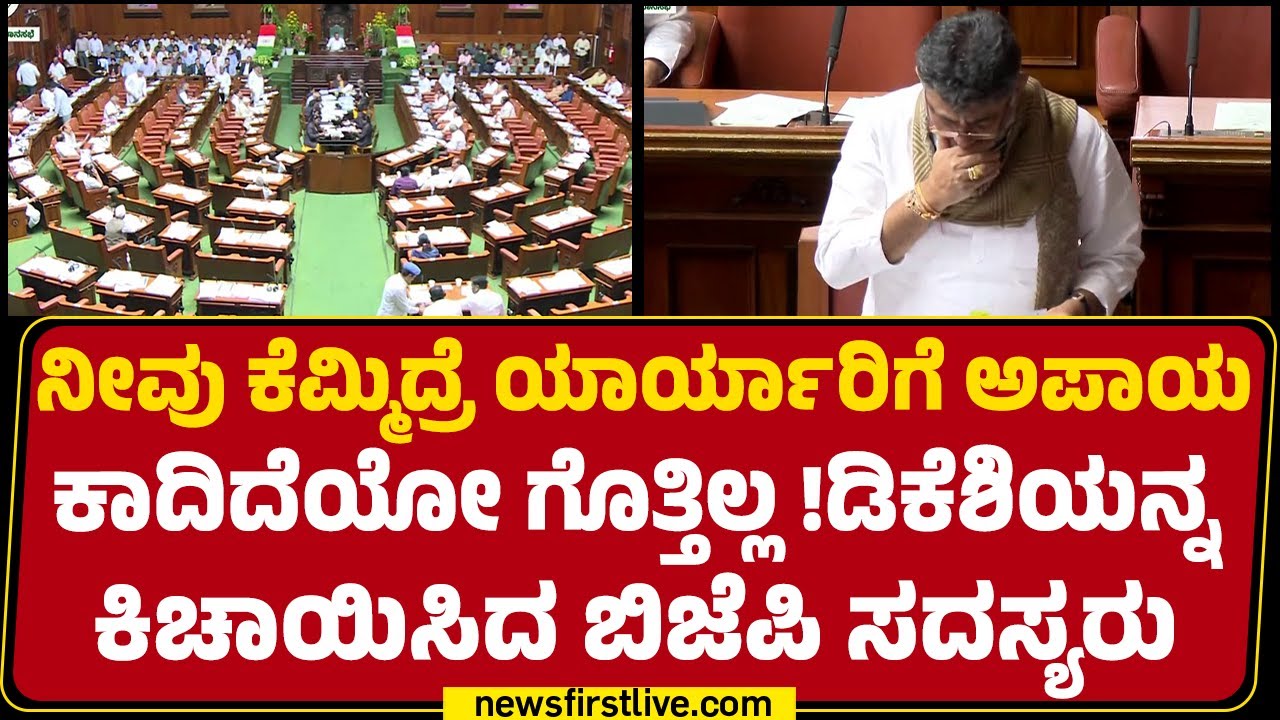 Monsoon Session 2025 : ಕೆಮ್ಮಿದ DCM DK Shivakumarನ ಕಿಚಾಯಿಸಿದ ಬಿಜೆಪಿ ಸದಸ್ಯರು| V Sunil Kumar |Newsfirst