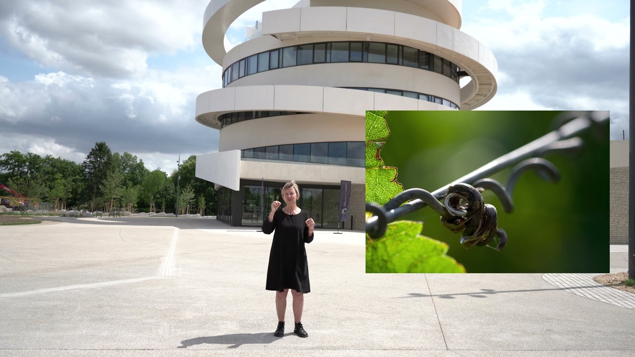 Rencontre avec Emmanuelle Andreani - Architecte de la Cité à Beaune