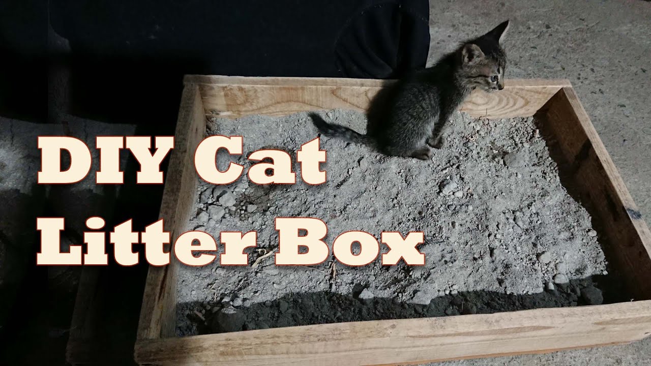 DIY Cat Litter Box Out of a Scrap of Wood.#DiylitterBox#DiyProjects#Woodworks#ScrapWood#weekendDIY
