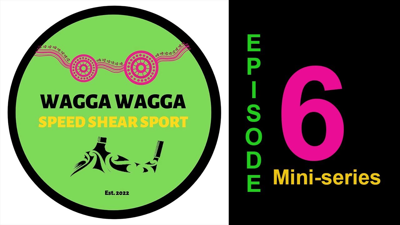 Wagga Wagga Speedshear 2023- Ep6 #shearing #wool #newzealand #sheepfarming #sheep