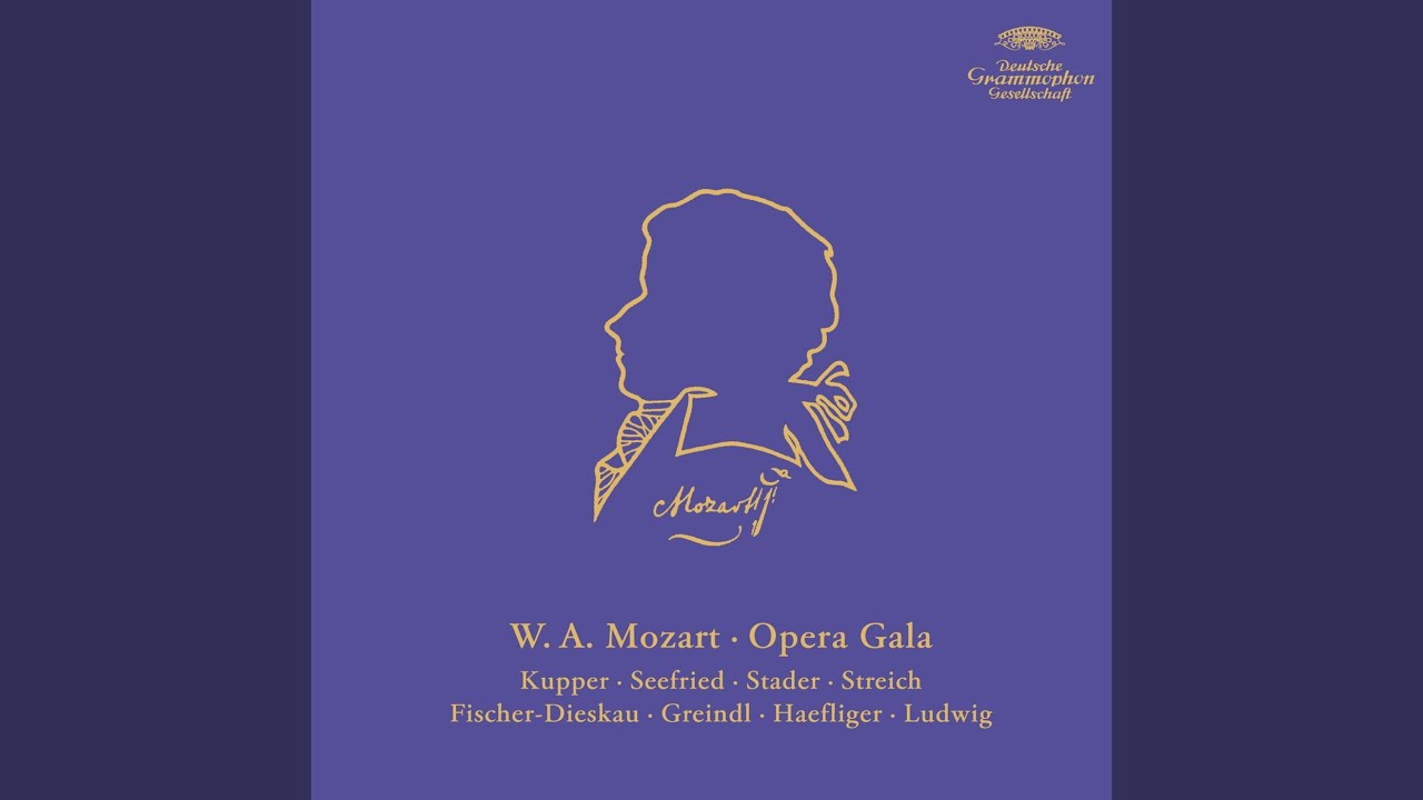 Mozart: Die Zauberflöte, K. 620, Act II: Der Hölle Rache kocht in meinem Herzen