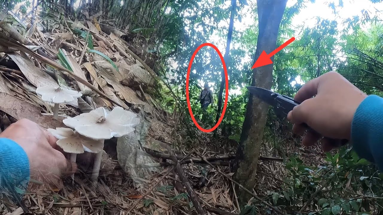 ฤดูกาลหาเห็ดโคน ￼ ระหว่างขุดเห็ดอยูู่มีผู้ชายร่างท้วมใหญ่มาเรียก