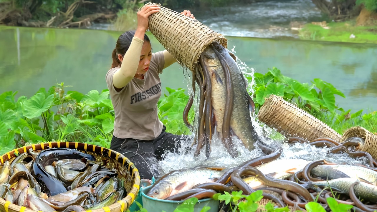 Catching Giant Fish and Trap Fish by Hand to Sell at the Market with Single mom & kids