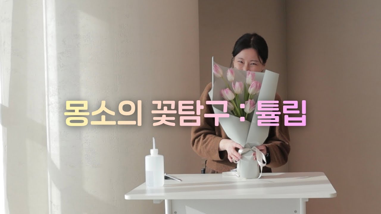ep.01 패럿 튤립 | 몽소의 꽃탐구 | 튤립꽃다발 만들기