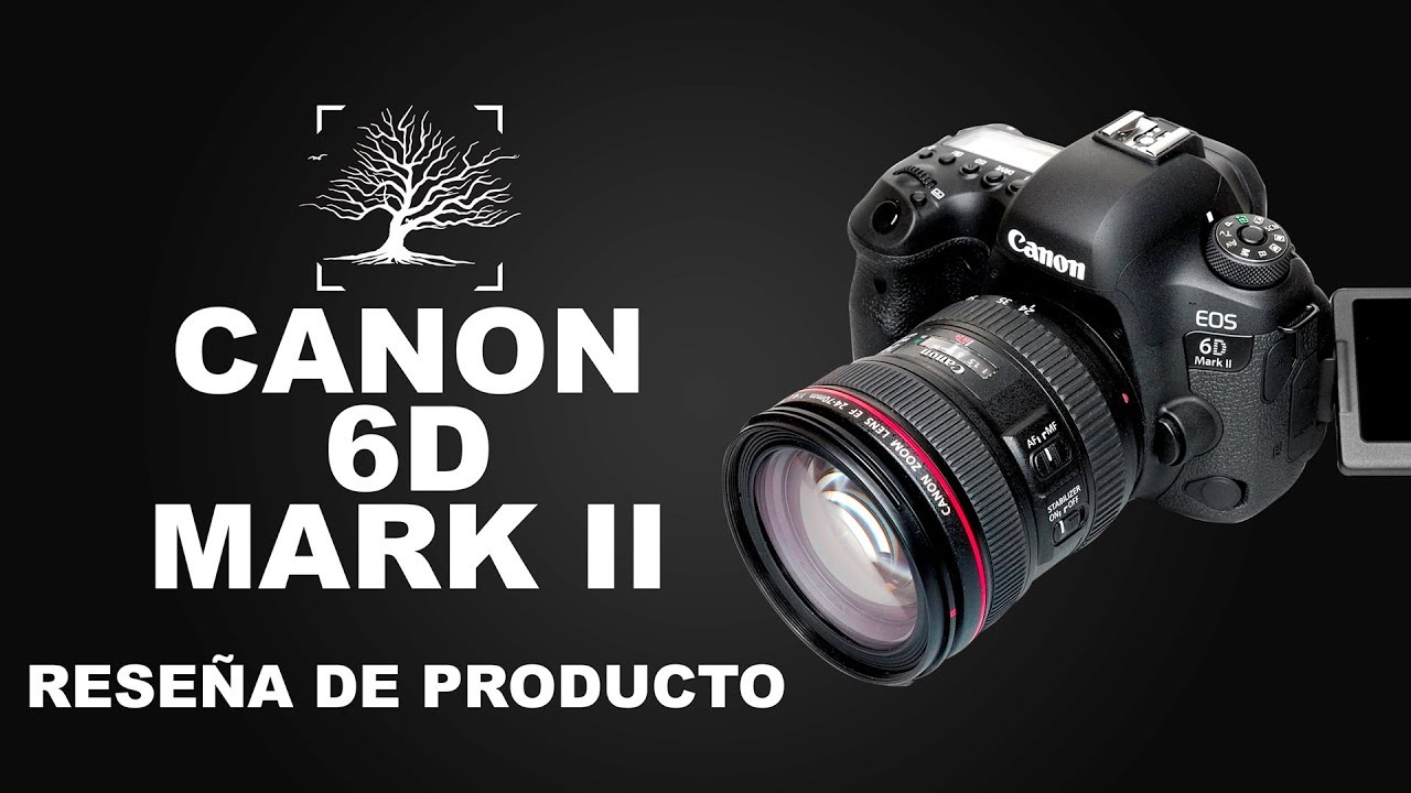 Canon 6D Mark II mi opinión sobre esta cámara (en español)