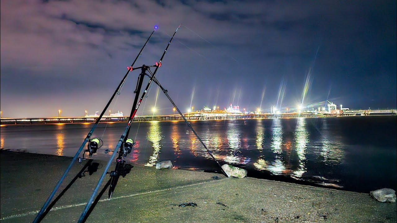 Monster Whiting on the Humber but are there any Cod??