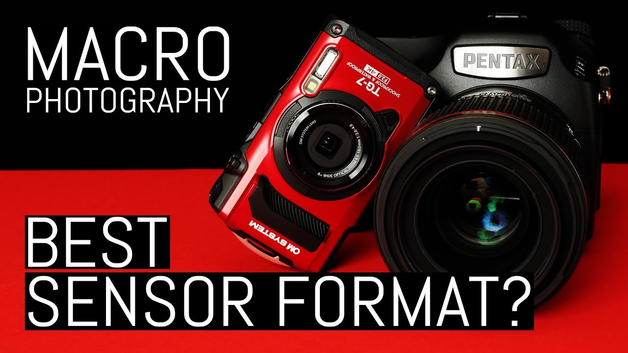 The Best Sensor Format for Macro Photography: Debunking the Myth