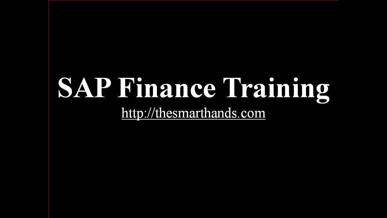 SAP Finance Training - Introduction to SAP Finance (Video 1)