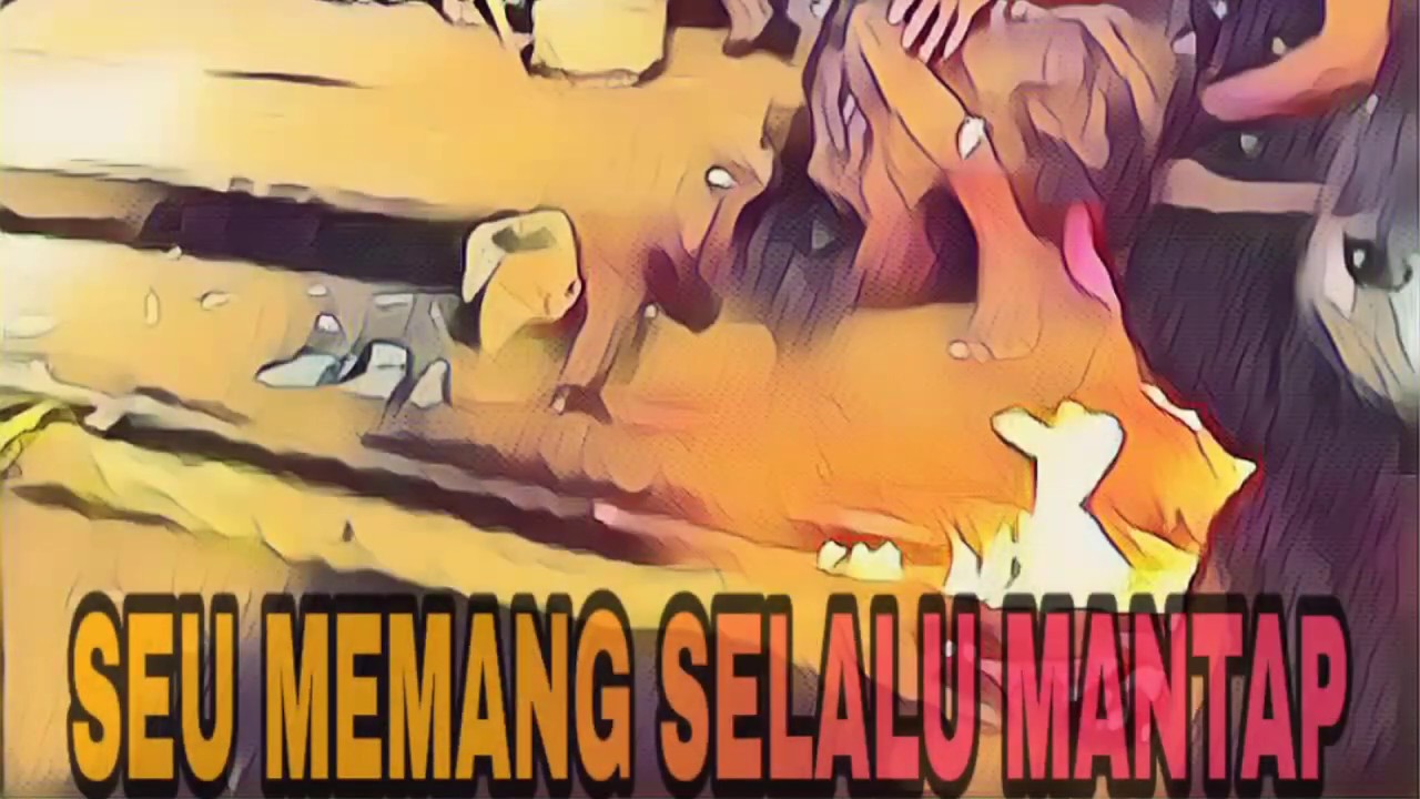 SEU MEMANG SELALU MANTAP
