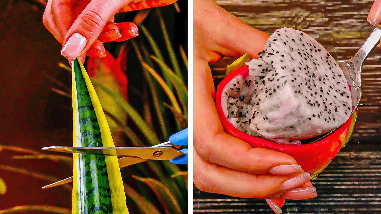 Deine Wohnung gleicht einem Dschungel? Dann musst du diese 10 Pflanzen-Hacks kennen!