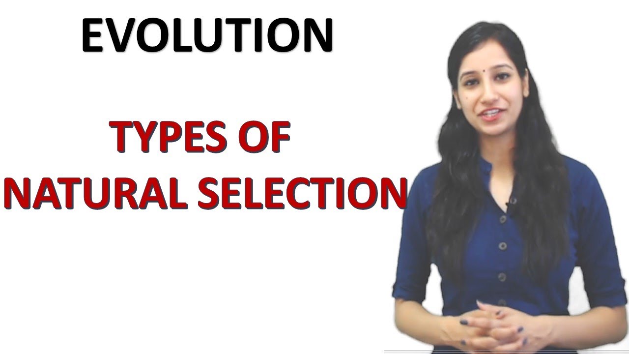 Types Of Natural Selection I Stabilizing I Direction I Disruptive Selection I Evolution