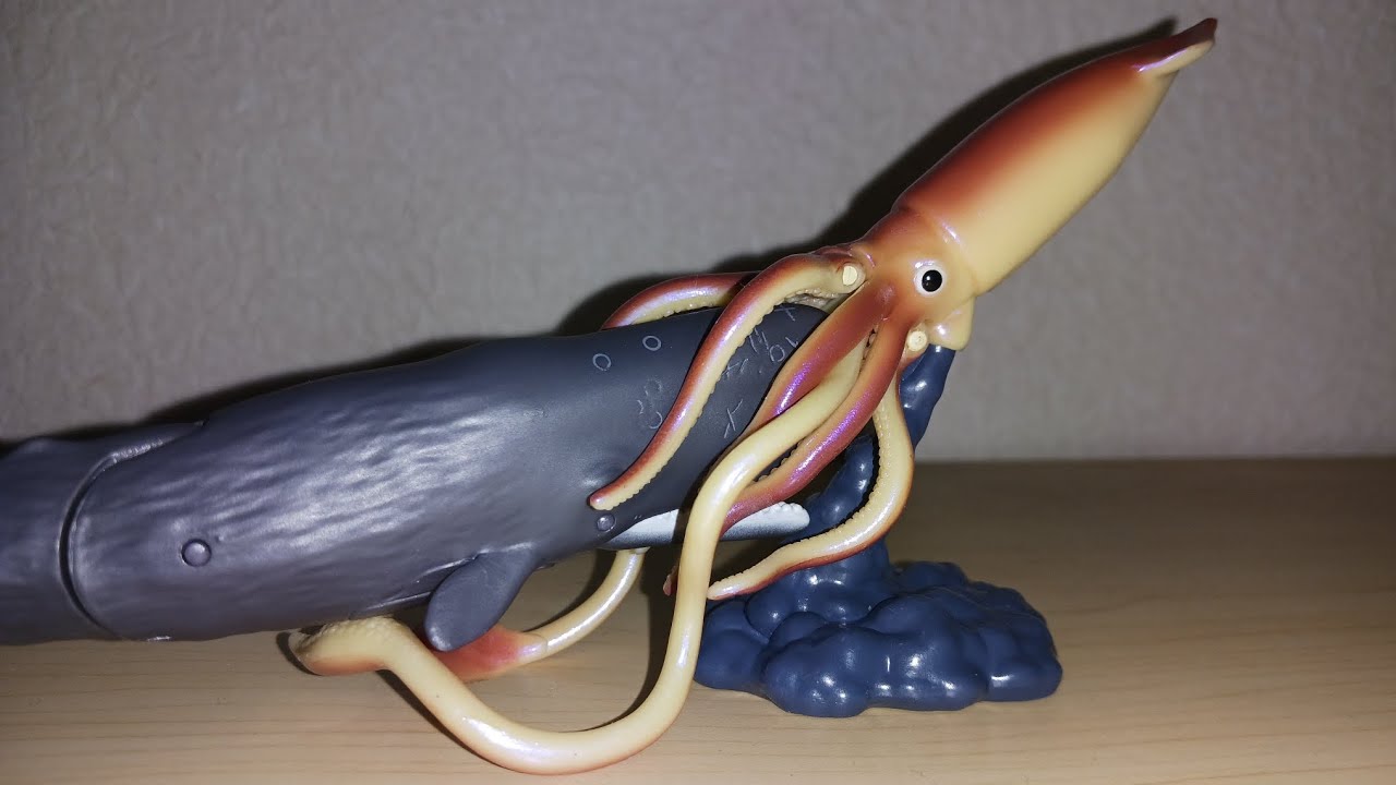 深海ノ決戦　アニア　ダイオウイカ&マッコウクジラ　レビュー
