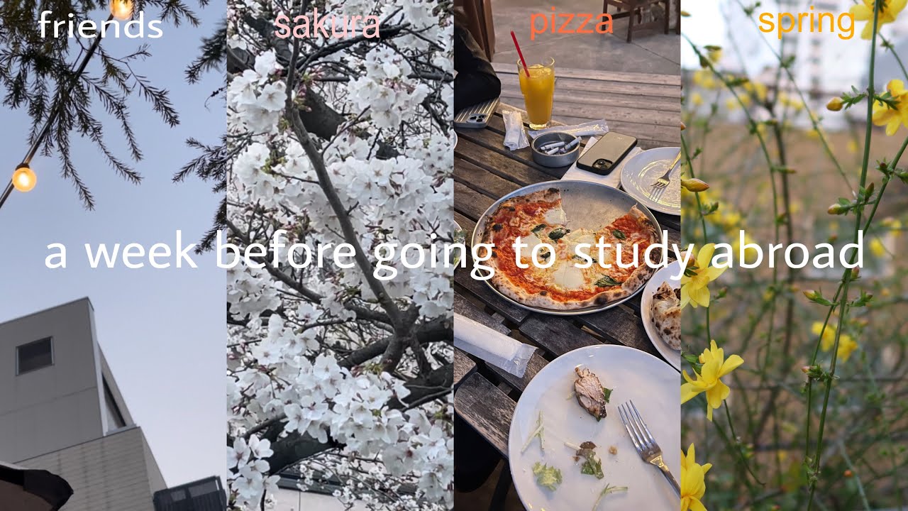 a week before going to study abroad🤍留学前の1週間 | uni, friends, cafe, shrine, shopping, japan🌸