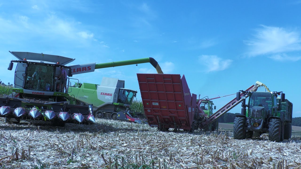 Mais Dreschen - CCM 2022 Corn Harvest |  2X CLAAS LEXION 760 TT / MB Trac 1000