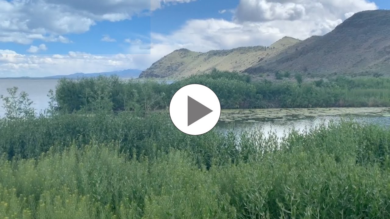 Tulelake National Wildlife Refuge, CA - Adventure Guru