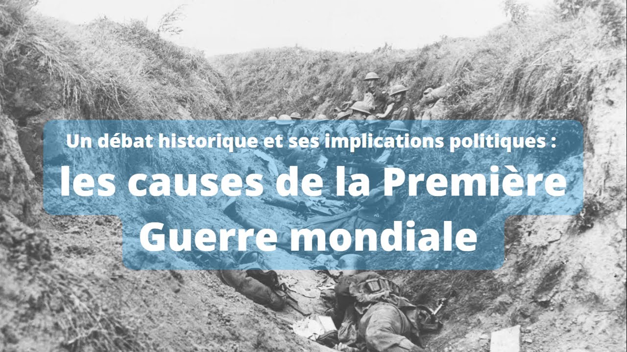 [HGGSP Term] D&eacute;bat historique et implications politiques  les causes de la Premi&egrave;re Guerre mondiale