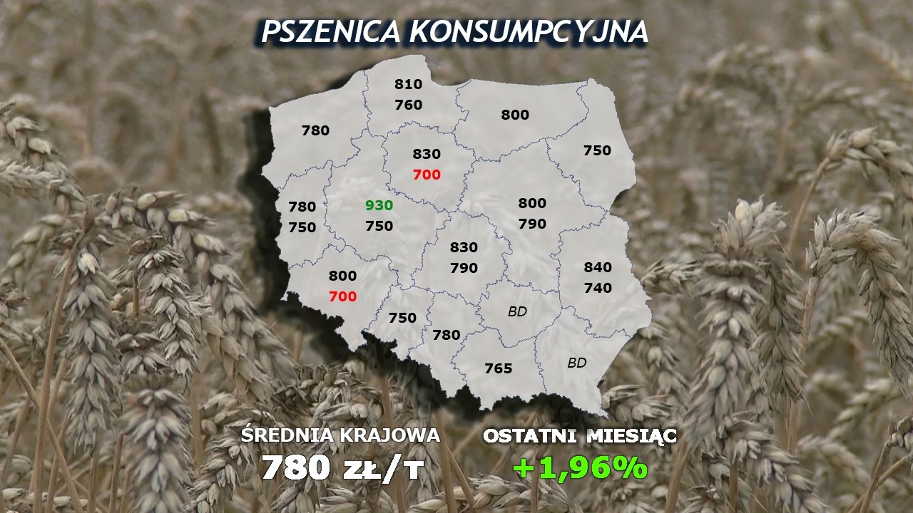 #335 agro news nonstop - 09/06/2026
