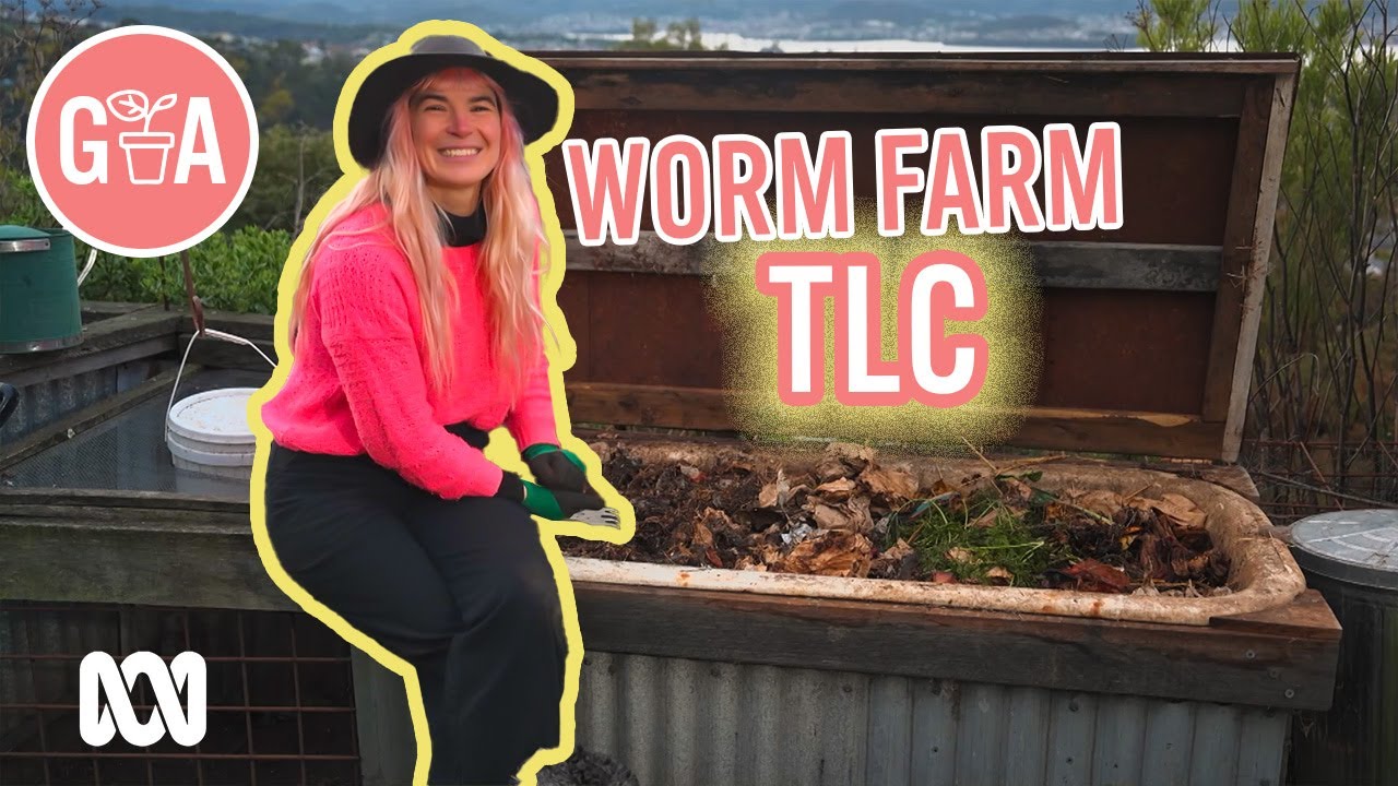 Worm Farm Tips for Autumn | DIY Garden Projects | Gardening Australia