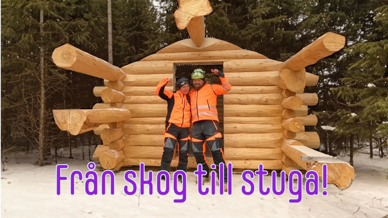 Bygger timmerstuga! från skog till FÄRDIG timring!