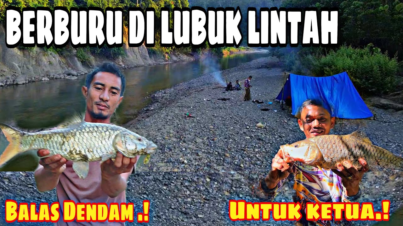 Fishingcamp BERBURU Predator Sungai dan Mencari ikan di malam hari &hellip;