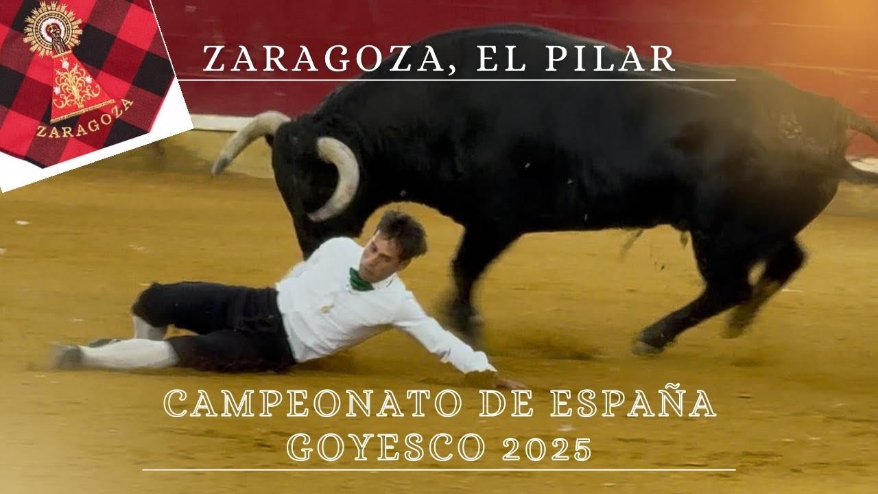 ZARAGOZA CAMPEONATO DE ESPAÑA GOYESCO CON TOROS 2025 ( EL PILAR ) 